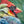 Le gardien des couleurs