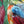 Le gardien des couleurs
