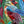 Le gardien des couleurs